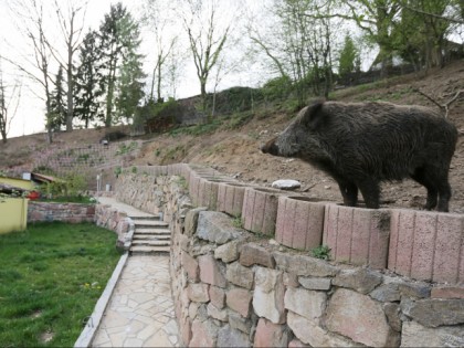 Photo:  Il Trullo D&amp;#039;oro